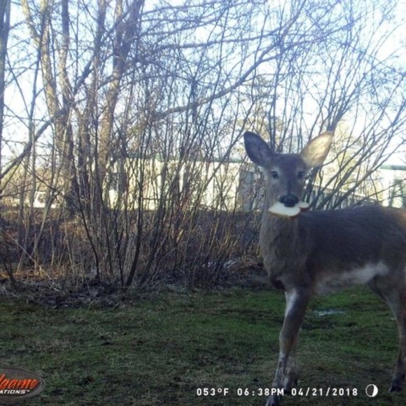 Meet your Posher, Scott - Picture 1 of 1